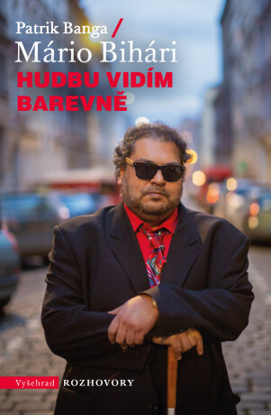 Hudbu vidím barevně - Mário Bihári,Patrik Banga