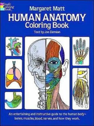 Human Anatomy: Coloring Book - Matt Margaret