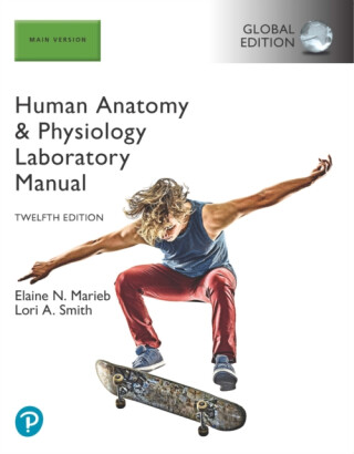 Human Anatomy & Physiology Laboratory Manual, Main Version, Global Edition - Elaine Marieb,Lori Smith
