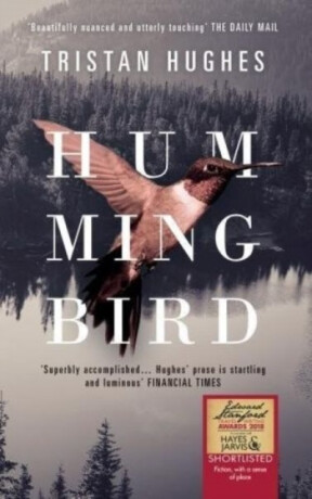 Hummingbird - Tristan Hughes