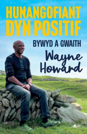 Hunangofiant Dyn Positif - Bywyd a Gwaith Wayne Howard - Jon Gower,Wayne Howard
