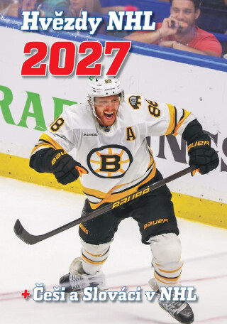Hvězdy NHL 2027 - 