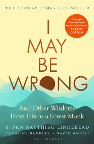 I May Be Wrong - Björn Lindeblad