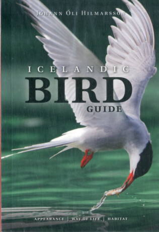 Icelandic Bird Guide: Appearance, Way of Life, Habitat - 