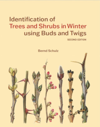 Identification of Trees and Shrubs in Winter using Buds and Twigs - Bernd Schulz