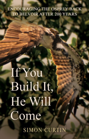 If You Build It, He Will Come - Simon Curtin