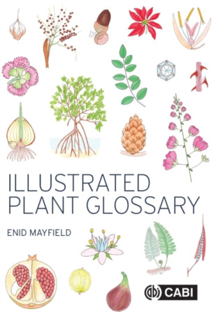Illustrated Plant Glossary - Enid  Mayfield