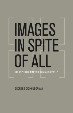 Images in Spite of All - Georges Didi-Huberman