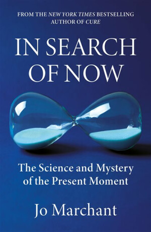 In Search of Now - Jo Marchant