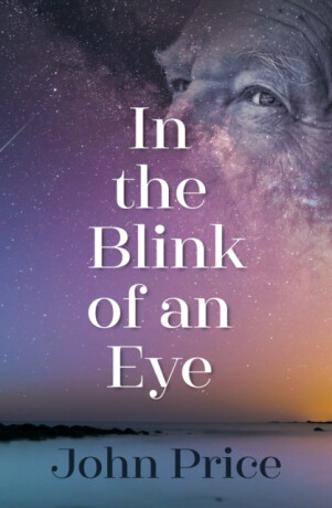 In the Blink of an Eye - John Price