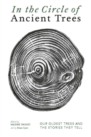 In The Circle of Ancient Trees - 
