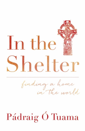 In the Shelter - Padraig O Tuama