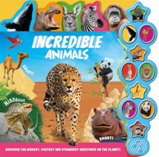 Incredible Animals - Igloo Books Ltd
