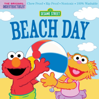 Indestructibles: Sesame Street: Beach Day - Amy Pixton,Sesame Street