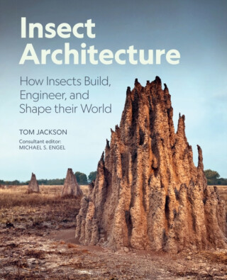 Insect Architecture - Tom Jackson,Engel Michael S.