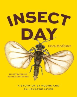 Insect Day - Erica McAlister