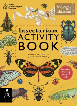 Insectarium Activity Book - Dave Goulson