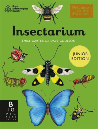 Insectarium (Junior Edition) - Dave Goulson