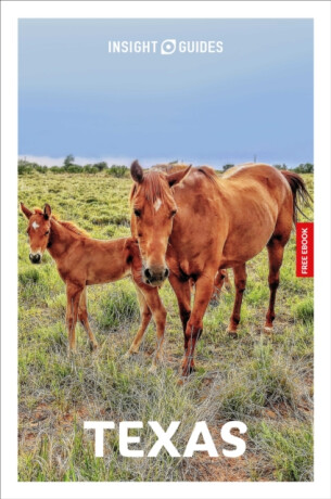 Insight Guides Texas: Travel Guide with eBook - Rashmi Narayan