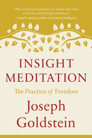 Insight Meditation - Joseph Goldstein