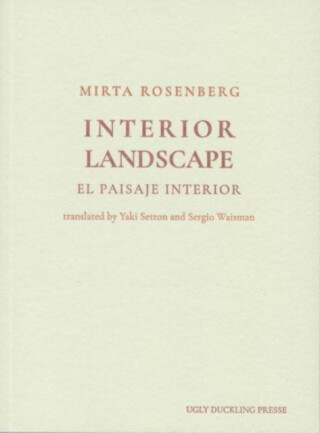 Interior Landscape - Mirta Rosenberg