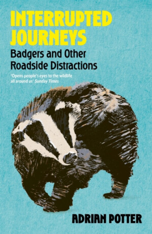 Interrupted Journeys - Adrian Potter