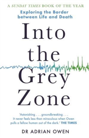 Into the Grey Zone - Owen Adrian