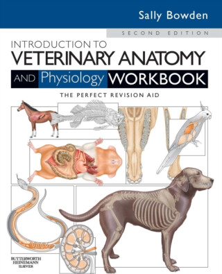 Introduction to Veterinary Anatomy and Physiology Workbook - Sally Bowden