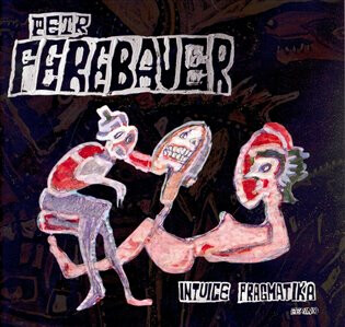 Intuice pragmatika. Petr Ferebauer - Petr Ferebauer