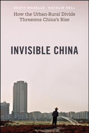 Invisible China - Natalie Hell,Scott Rozelle
