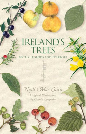 Ireland's Trees - Niall Mac Coitir