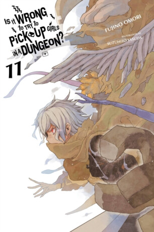 Is It Wrong to Try to Pick Up Girls in a Dungeon?, Vol. 11 (light novel) - Omori Fujino,Suzuhito Yasuda,Winifred Bird