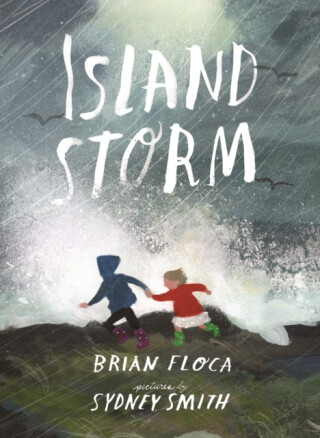 Island Storm - Brian Floca