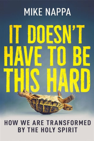 It Doesn't Have to Be This Hard - Mike Nappa