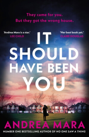 It Should Have Been You - Andrea Mara