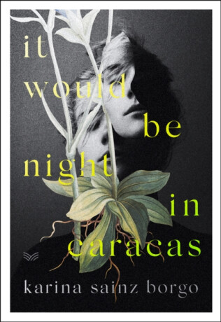 It Would Be Night in Caracas - Sainz Borgo Karina,Elizabeth Bryer