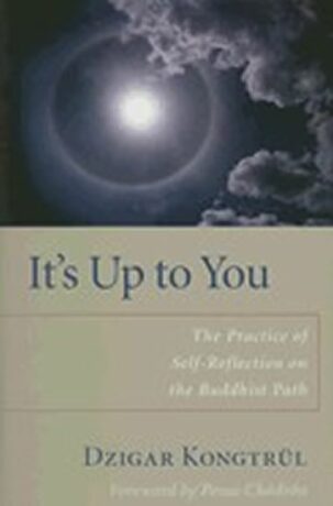It´s Up to You - Dzigar Kongtrul