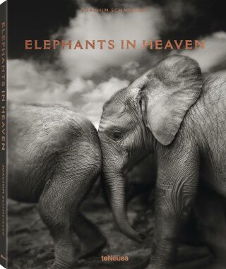 Joachim Schmeisser: Elephants in Heaven - Joachim Schmeisser
