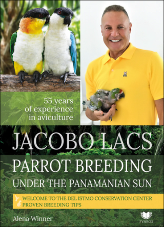 Parrot breeding unter the Panamanian Sun - Lacs Jacobo