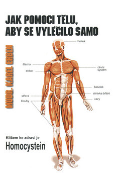Jak pomoci tělu, aby se vyléčilo samo - Karel Erben