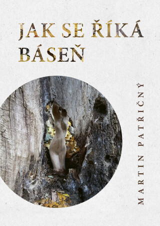 Jak se říká báseň - Martin Patřičný