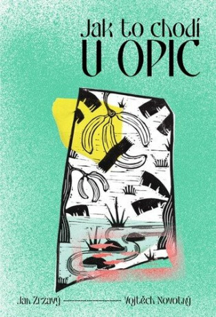 Jak to chodí u opic - Vojtěch Novotný,Jan Zrzavý