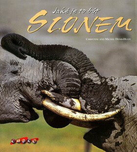 Jaké je to být slonem (poškozená) - Christine Denis-Huot,Michel Denis-Huot