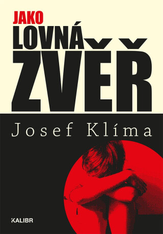 Děti SOS - Josef Klíma