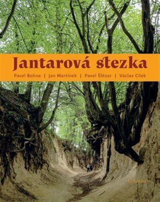 Jantarová stezka - Václav Cílek,Pavel Šlézar,Jan Martínek,Pavel Bolina