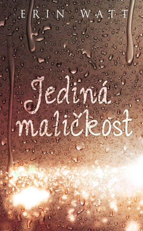Jediná maličkost - Erin Watt