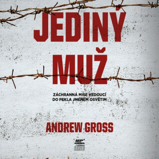 Jediný muž - Andrew Gross
