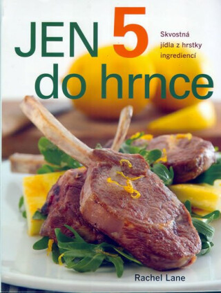 Jen pět do hrnce - Lane Rachel