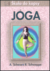 Jóga - škola do kapsy - Ronald P. Schweppe,Aljoscha Schwarz