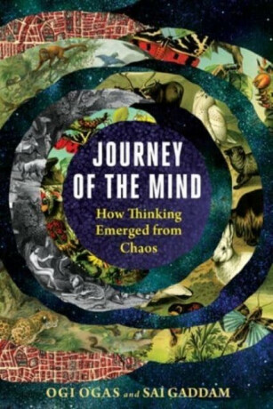 Journey of the Mind - Ogi Ogas,Sai Gaddam